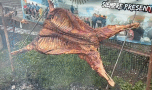 Anuncian las bases para el asado de Tierra del Fuego
