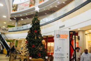 Las compras y preparativos de los magallánicos para esta Navidad