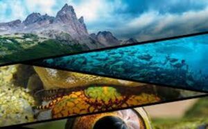 Concurso fotográfico Ojo de Pez ya tiene ganadores