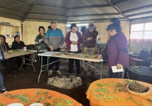 Agricultores de Magallanes fortalecen la soberanía alimentaria como guardianes de semillas