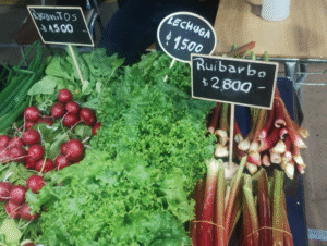 Más de 50 emprendedores y empresas  dan vida a la EXPO Magallanes