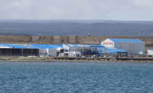 Condenan a exejecutivo de NovaAustral por contaminación y fraude en bonificaciones