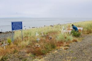 Cementerio de mascotas: ¿Cuál será su destino?