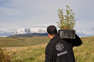 Segundo proyecto de viverización, un hito clave para la restauración de la Patagonia