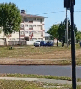 Disponen internación en psiquiatría de mujer que manejó contra el tránsito en pleno centro