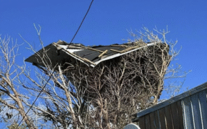 Fuerte viento voló techo de casa en Población Chaparro