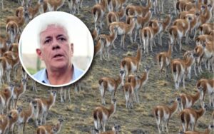 “Estamos en una situación desastrosa”