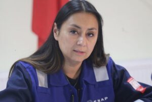 ¿INCLUSIÓN LABORAL O WHITEWASHING?