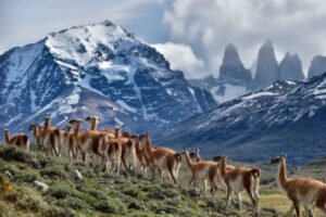 Lanzamiento del Sistema de Inteligencia Turística y la Aplicación “Plus Patagonia”