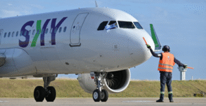 Aerolíneas suman un total de 65 denuncias por traslado de mascotas