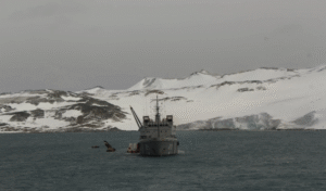 Armadas de Chile y Argentina concretan segunda etapa de Patrulla Antártica Naval