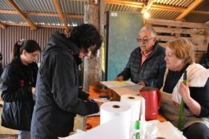 Fiscalizaciones de Salud superaron las 100 y no hubo sumarios sanitarios