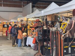 Emprendedores de Zonaustral relatan cómo han vivido la época estival