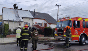 Mascotas fallecieron a causa de incendio que afectó vivienda en calle Eusebio Lillo