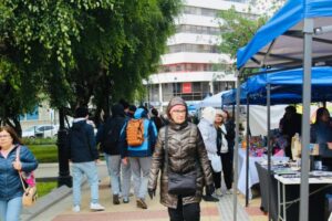 Gran convocatoria en la fiesta ciudadana ¡Vamos todos a la Plaza!