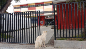 La dispar realidad de escuelas y liceos en el inicio del año educativo