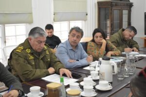 Micros en Punta Arenas: marzo comienza con sólo 40 buses