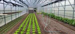 Llaman a las agricultoras a postular al  primer concurso de riego para mujeres
