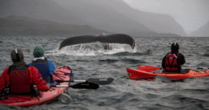 Parque del Estrecho y Kayak Agua Fresca unen fuerzas para temporada de invierno