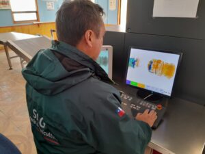 Más de cinco toneladas en productos de riesgo ha incautado el SAG en Magallanes
