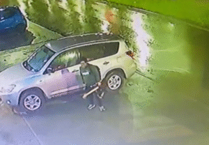 Antisocial ingresó al auto de un voluntario de Bomberos para robar diversas especies