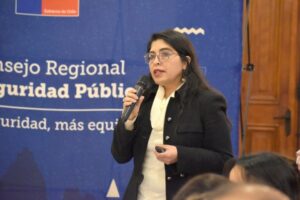 Seremi de Seguridad Pública llamó a tomar precaución durante el fin de semana largo