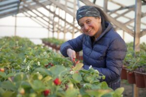 El proyecto de agricultores asociados que busca triunfar en Chile