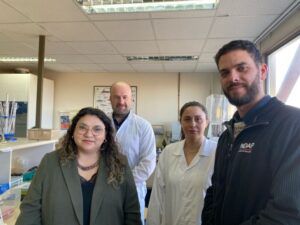 Desarrollan biofertilizante con bacterias nativas de los suelos de la Patagonia