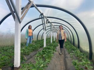 Se acerca el Encuentro de Innovación Hortícola
