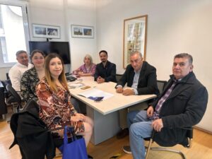 Consejeros Regionales de Magallanes participan en reunión con Subdere para avanzar en el Plan de Zonas Extremas