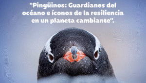 Charla sobre pingüinos antárticos