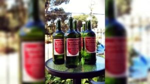 Agua de mar embotellada llega a Punta Arenas: expertos advierten peligros