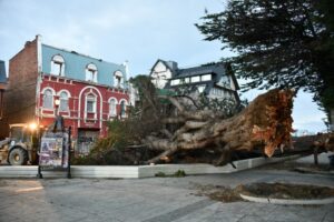 Municipio entrega balance de emergencia por fuertes vientos