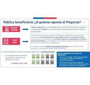 Ferias de Punta Arenas no califican como “ferias libres”