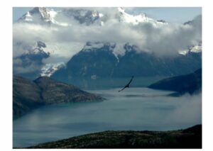 Día de los Patrimonios resaltó la  belleza y tradiciones patagónicas