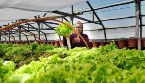 Magallanes refuerza su estrategia agroclimática con análisis de expertos y medidas preventivas
