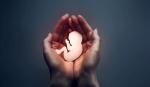 Divergentes opiniones ante reanudación de discusión de la “Ley de Aborto”