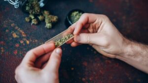 Chile es tercero en consumo de cannabis y segundo en éxtasis