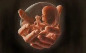 Presidente del Colegio Médico y sus reparos a proyecto de aborto