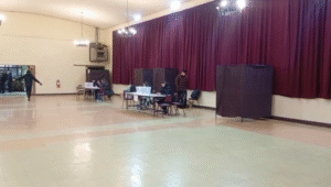 10.650 personas votaron en las primarias presidenciales oficialistas en Magallanes