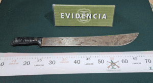 En pleno centro fue detenido un joven que portaba machete