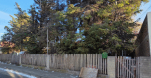 Impresentable: adulto mayor sufrió robo donde se llevaron hasta su cama