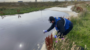 MOP confirmó contaminación en humedal cercano el estero Bitsch de Punta Arenas