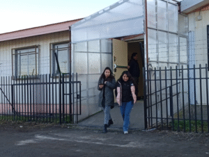 PAES invierno: 132 jóvenes mejoraron su puntaje