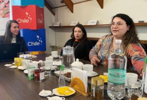 ProChile Magallanes y Minagri invitan a participar en Concurso Silvoagropecuario 2026