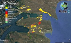 Empresa regional lidera uno de los proyectos de carbono más grandes a nivel país