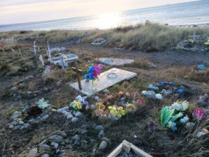 Un cementerio para mascotas: un clamor por amor y dignidad
