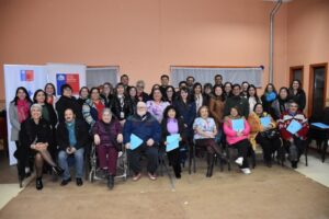 Cuarta versión de Escuela de Dirigentes de Salud abordará ayuda sicológica,  cuidado integral y Ley de Urgencia