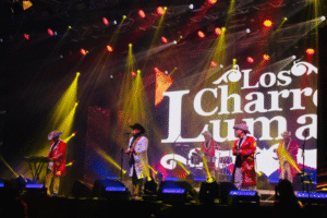 La música de centro-sur del país hizo vibrar la apertura del Festival Folclórico