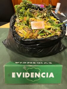 Centauro de Carabineros detuvo a dos extranjeros con más de un kilo de marihuana